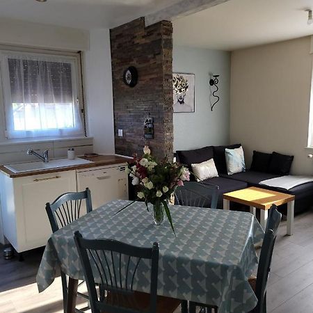 Appartement Au Cigogneau Wifi-Netflix-Balcon-Parking Munster  Εξωτερικό φωτογραφία