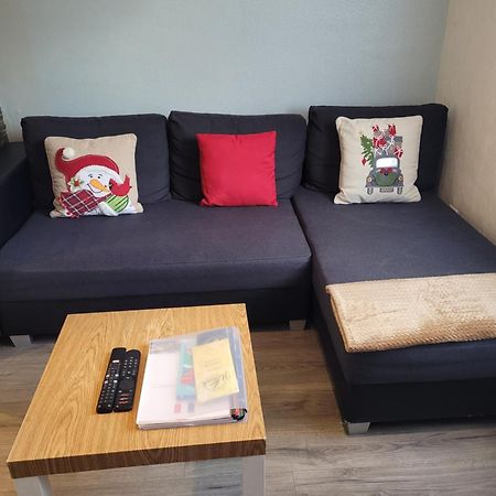 Appartement Au Cigogneau Wifi-Netflix-Balcon-Parking Munster  Εξωτερικό φωτογραφία
