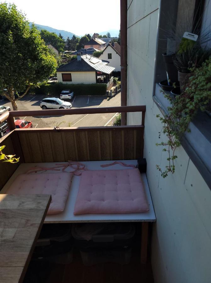 Appartement Au Cigogneau Wifi-Netflix-Balcon-Parking Munster  Εξωτερικό φωτογραφία