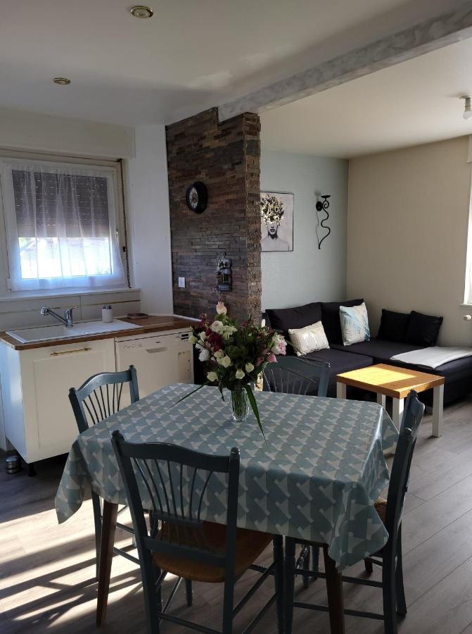 Appartement Au Cigogneau Wifi-Netflix-Balcon-Parking Munster  Εξωτερικό φωτογραφία