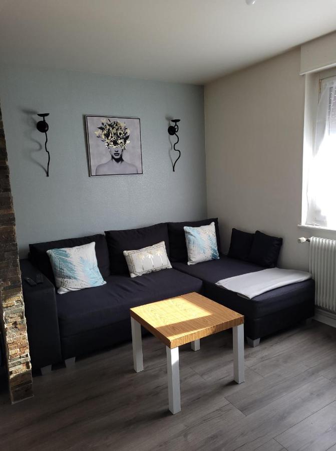 Appartement Au Cigogneau Wifi-Netflix-Balcon-Parking Munster  Εξωτερικό φωτογραφία