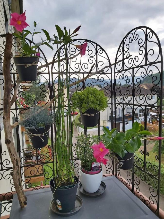 Appartement Au Cigogneau Wifi-Netflix-Balcon-Parking Munster  Εξωτερικό φωτογραφία
