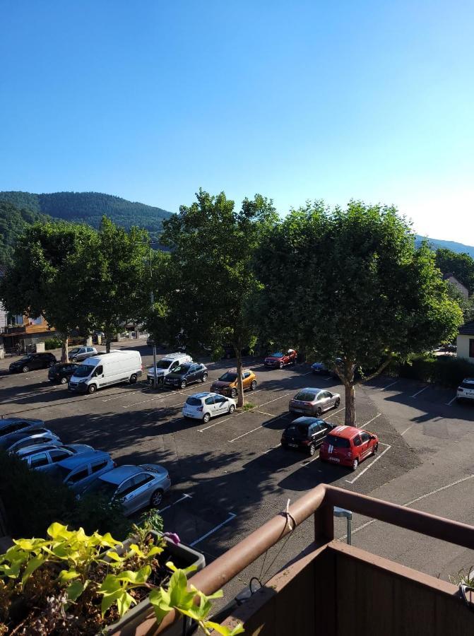 Appartement Au Cigogneau Wifi-Netflix-Balcon-Parking Munster  Εξωτερικό φωτογραφία
